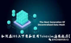 如何在iOS上下载和使用T