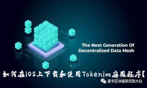 如何在iOS上下载和使用Tokenim应用程序？