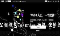 全面解析公链钱包Tokenim：