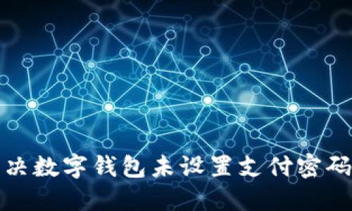 如何解决数字钱包未设置支付密码的问题