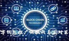 数字钱包推广的挑战与应对策略